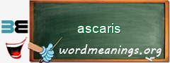 WordMeaning blackboard for ascaris